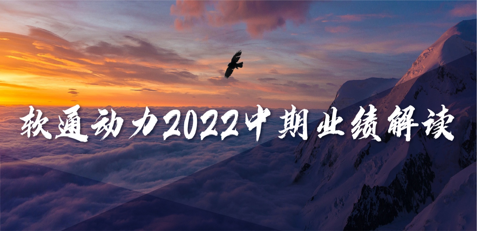 XPJ官网动力2022中期业绩：求实敢为，营收不变增长，持续优化业务布局