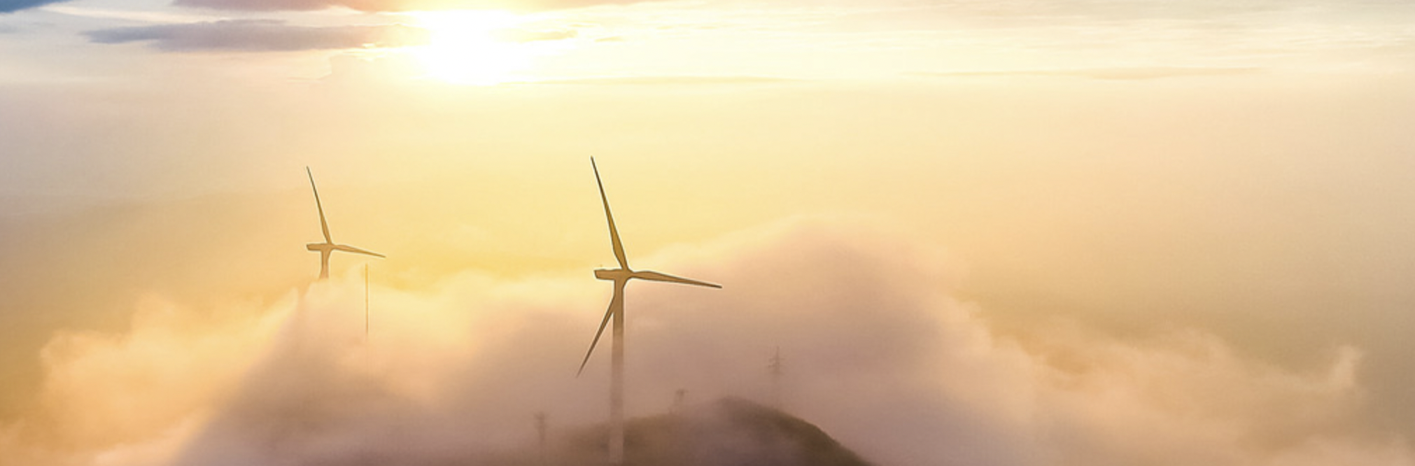 XPJ·(澳门区)公司官方网站