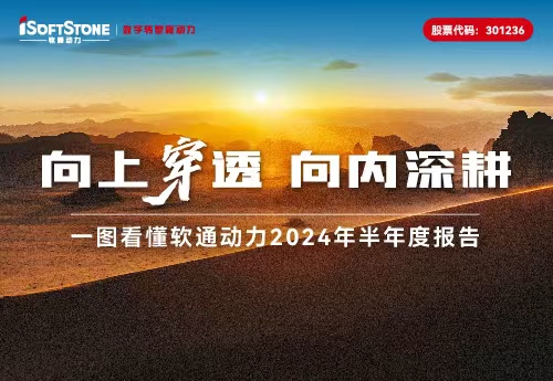 一图看懂XPJ官网动力2024年半年度汇报